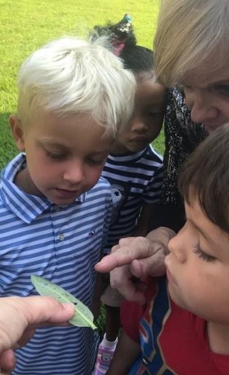 Estudiantes de pre-jardín de la infancia: Weston Vandesand, Deana Abraham y Matthew Harding, junto a su maestra Marsha White, examinan una oruga en su primera fase descubierta en una hoja de algodoncillo en el jardín de la escuela.