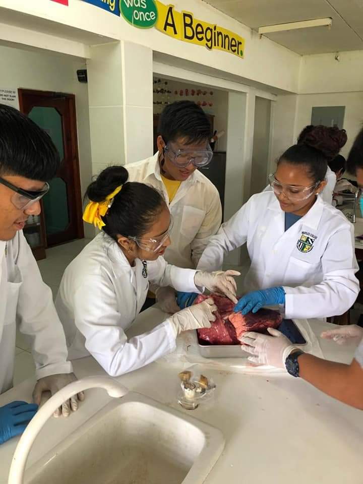 Estudiantes de último año colaboran en el laboratorio de ciencias.