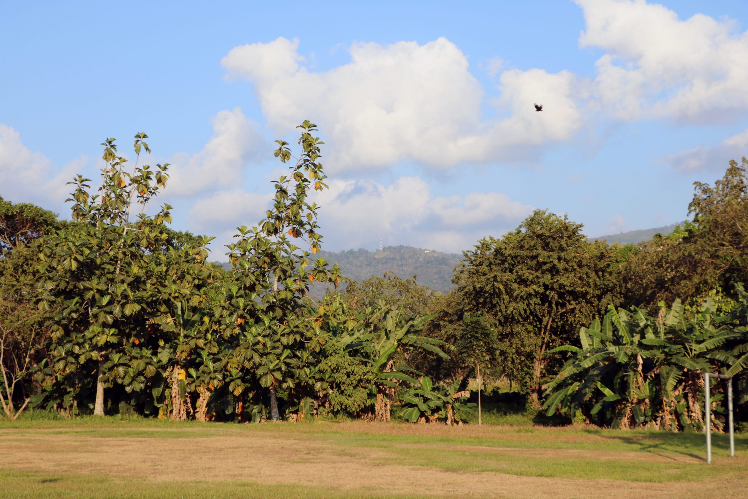 An example of the natural beauty of Honduras.